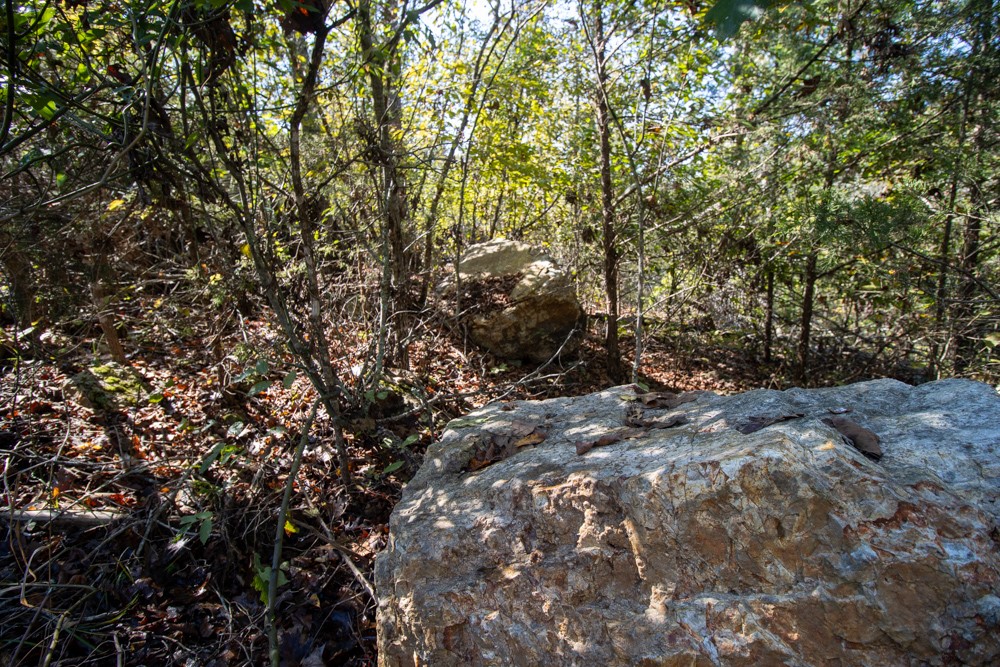 White River Valley - Land