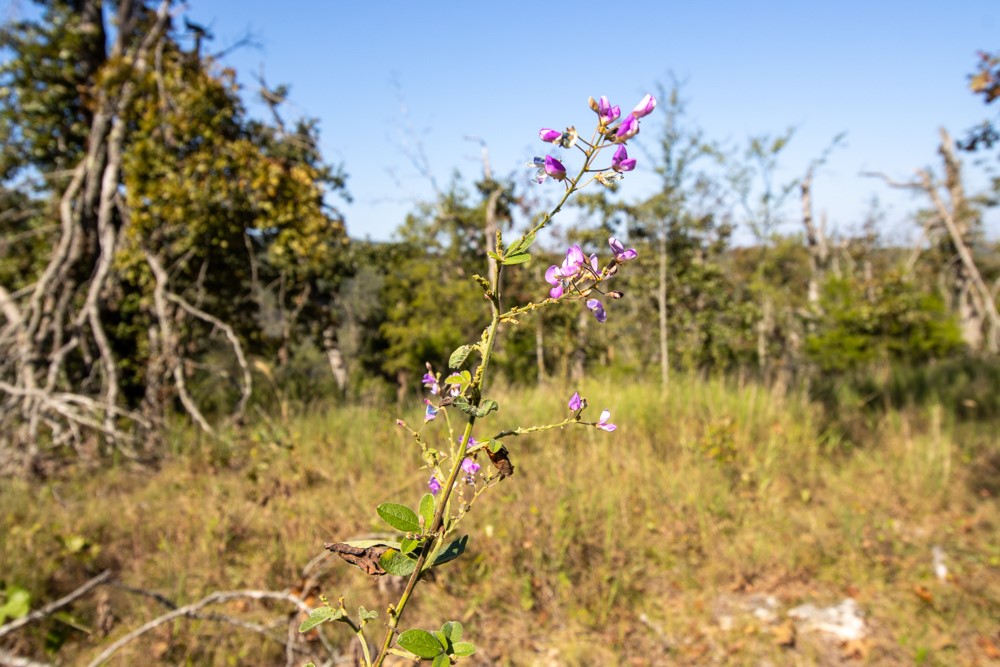 White River Valley - Land