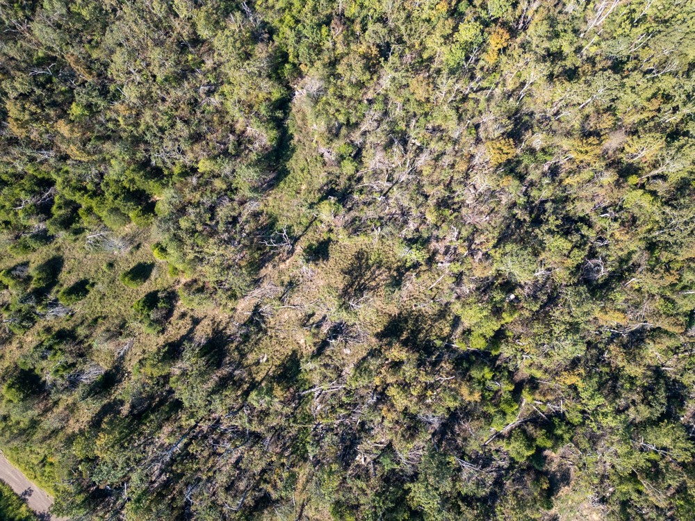 White River Valley - Land