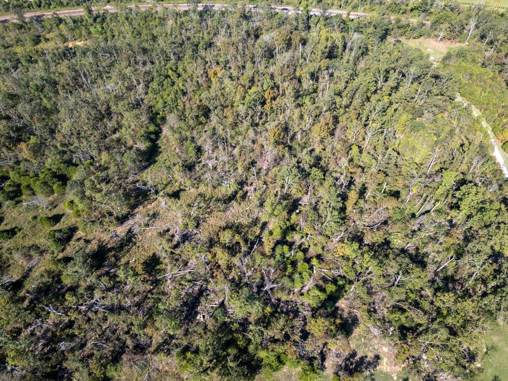 White River Valley - Land