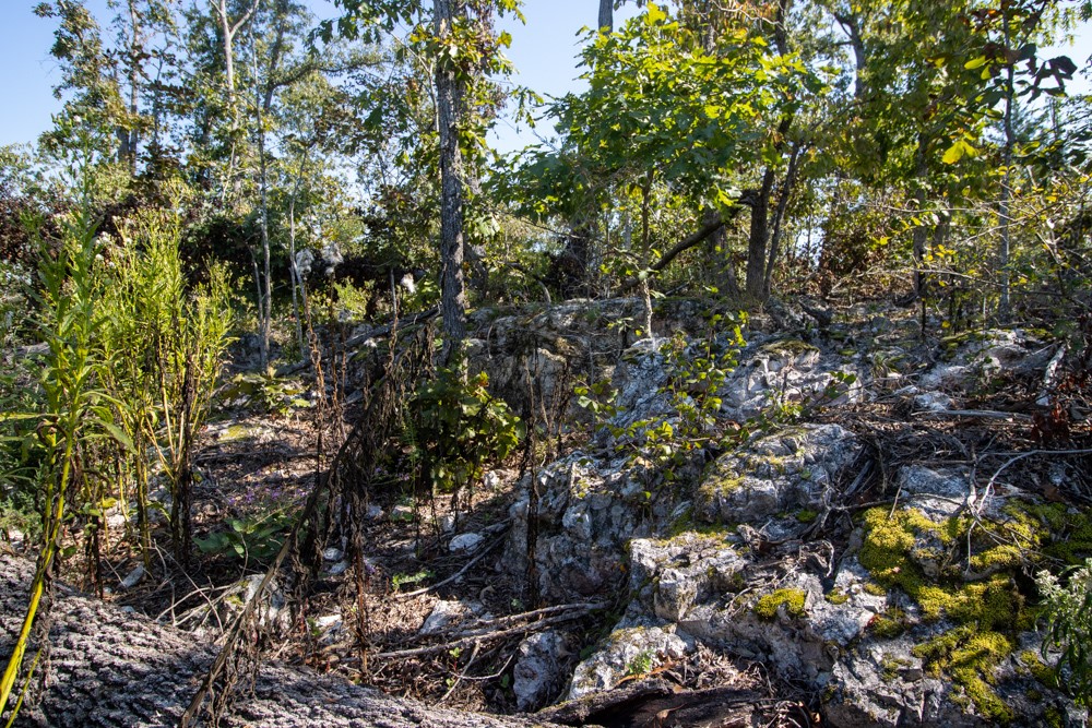 White River Valley - Land