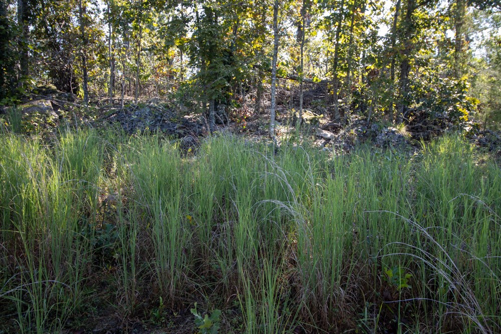 White River Valley - Land