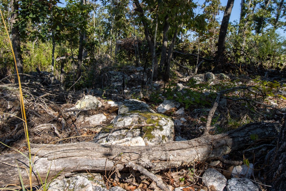 White River Valley - Land