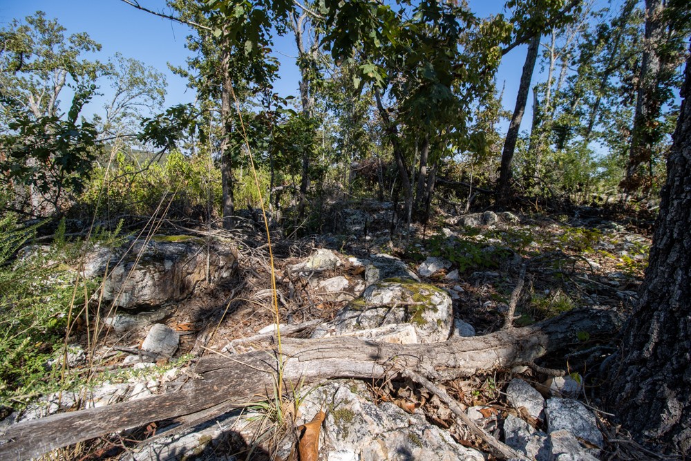 White River Valley - Land