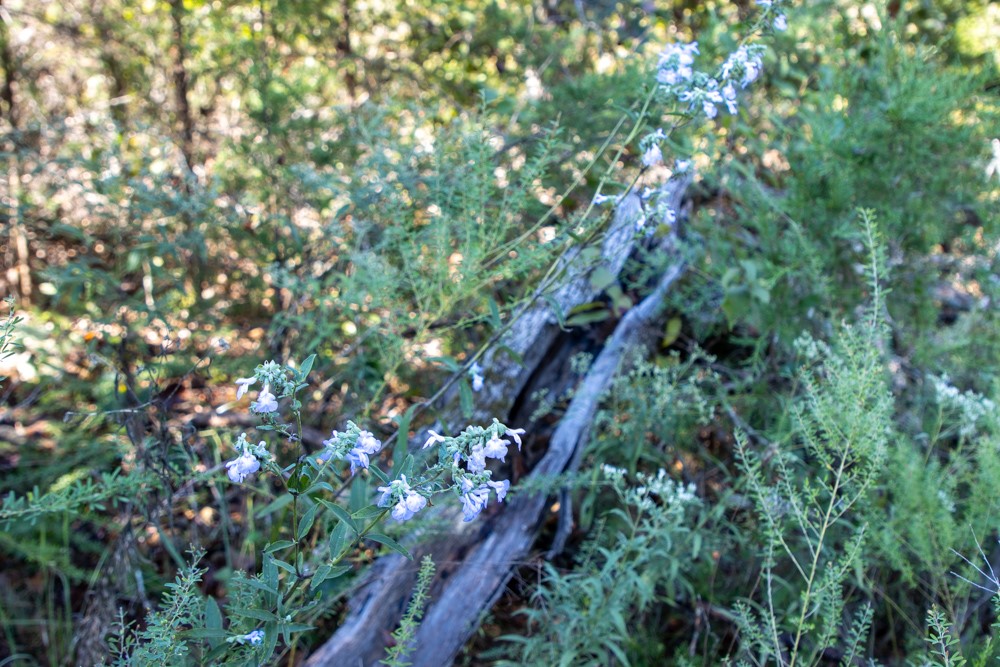 White River Valley - Land