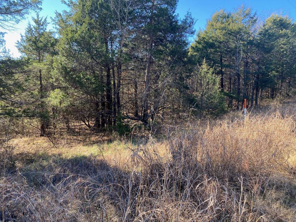 Room for a house and a shop! These two lots are on a quiet street in Diamond City. Double lots are getting harder and harder to find. All of this just minutes from the lake. There is a 1000 sf minimum build restriction in this subdivision and the lots will require a grinder pump when connecting to the sewer.