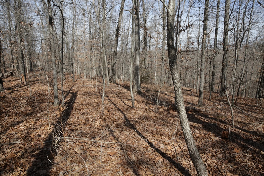 Thompson Estates Bvv - Land