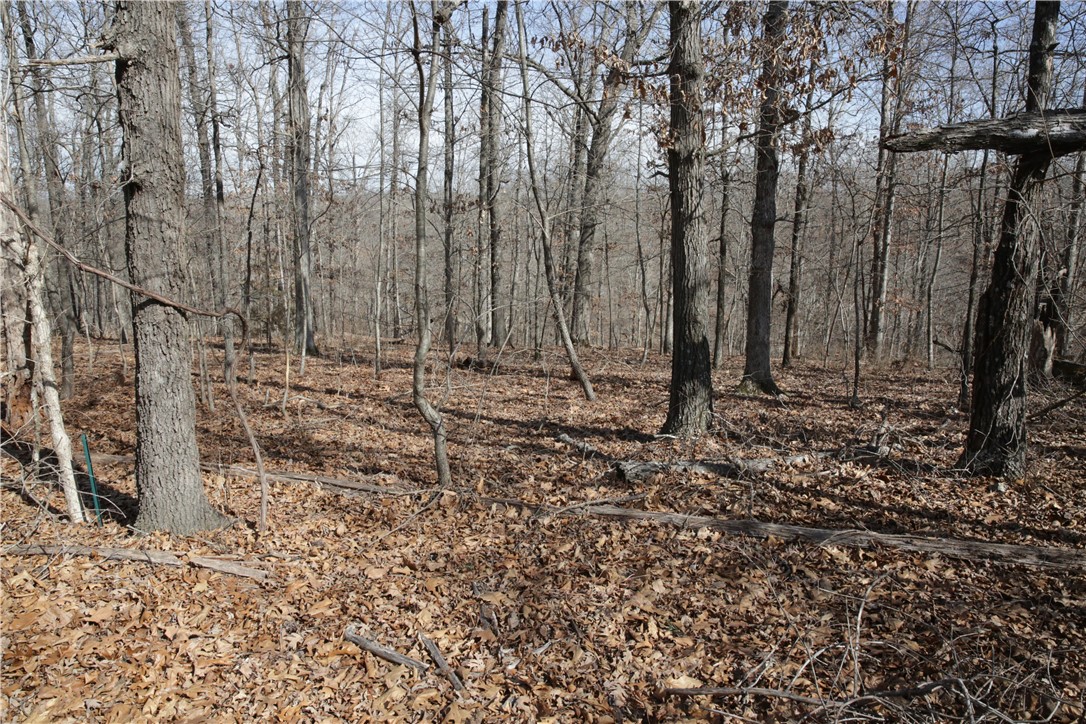 Thompson Estates Bvv - Land