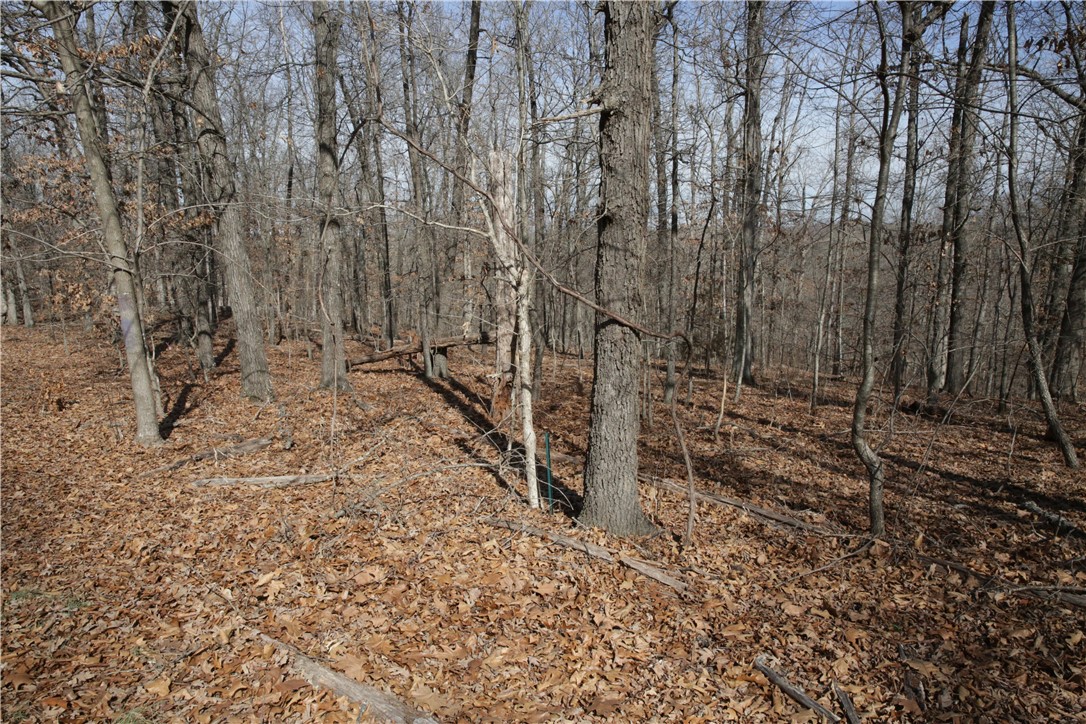 Thompson Estates Bvv - Land