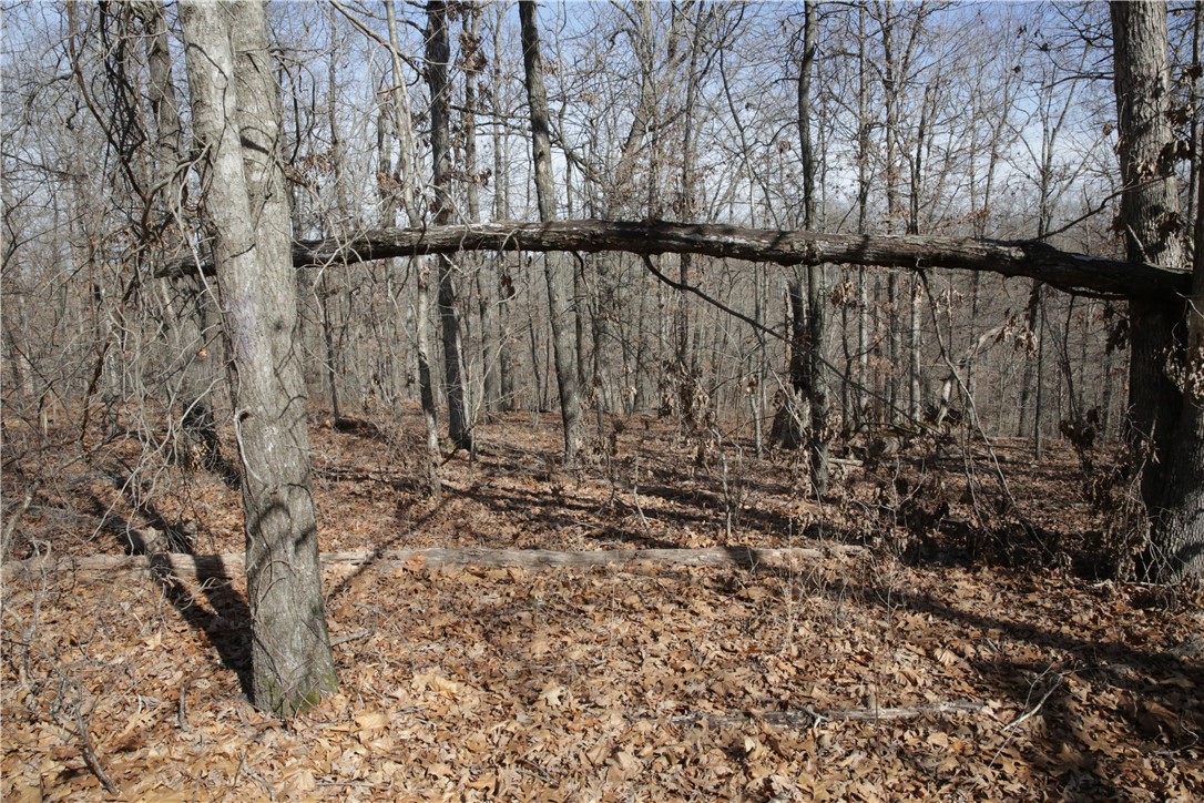 Thompson Estates Bvv - Land