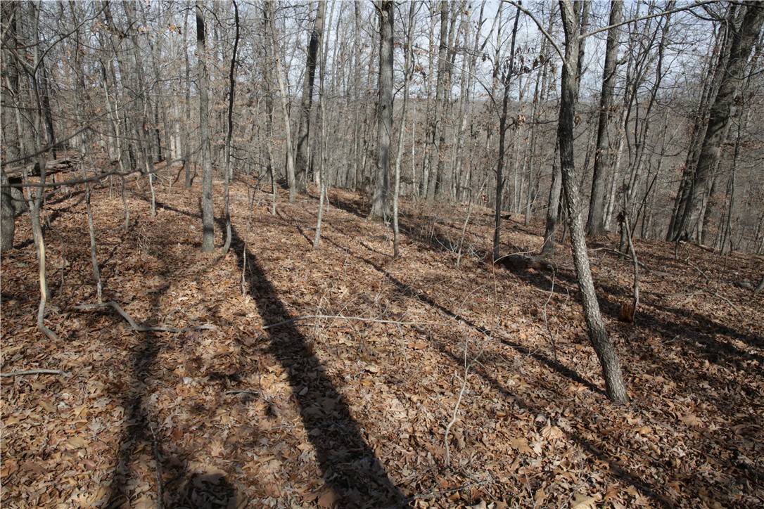 Thompson Estates Bvv - Land