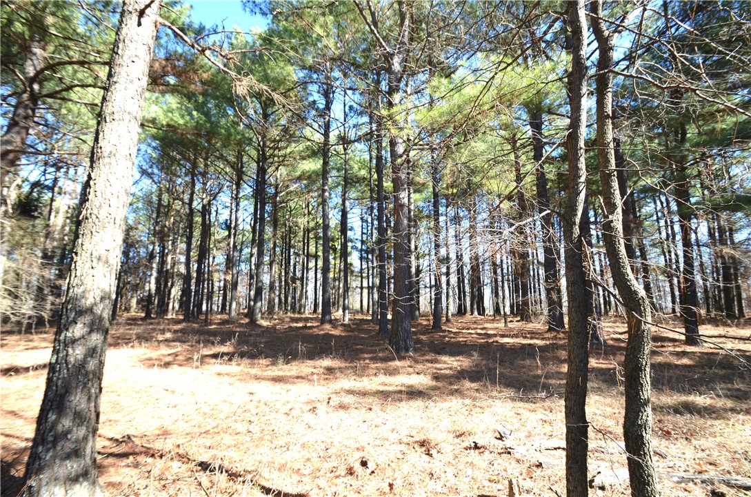 This beautiful acreage has an abundance of mature pine trees among other hardwoods. Approximately 1332 feet of road frontage. This would make a beautiful homestead with plenty of wildlife. Close proximity to Fayetteville and Greenland makes it a convenient location yet private. Only 5 miles to Kessler Park. No mobiles but modulars are allowed. Also listed as 6 acres MLS 1298137