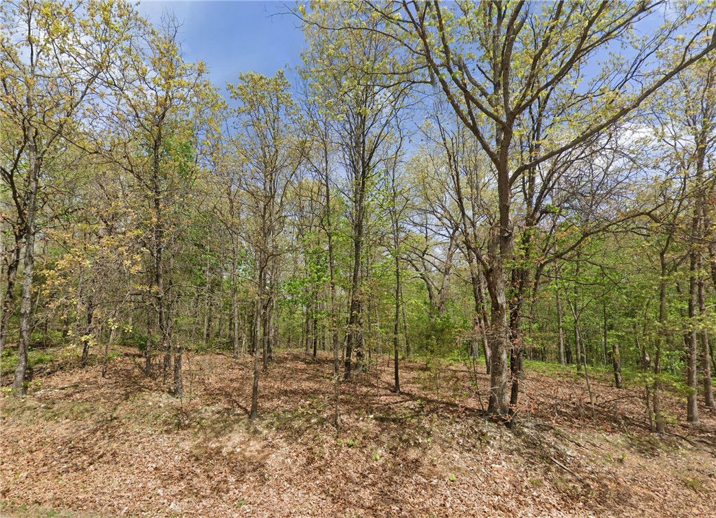 This lot is perfect to build a multi-level home with lake views from the upper levels! Lot is located closer to Lost Bridge Village amenities, including rec center/pool, exercise equipment, boat launch, tennis court, & library. Only 5 minute drive to Marina. Great space for a vacation home or relaxing everyday living!