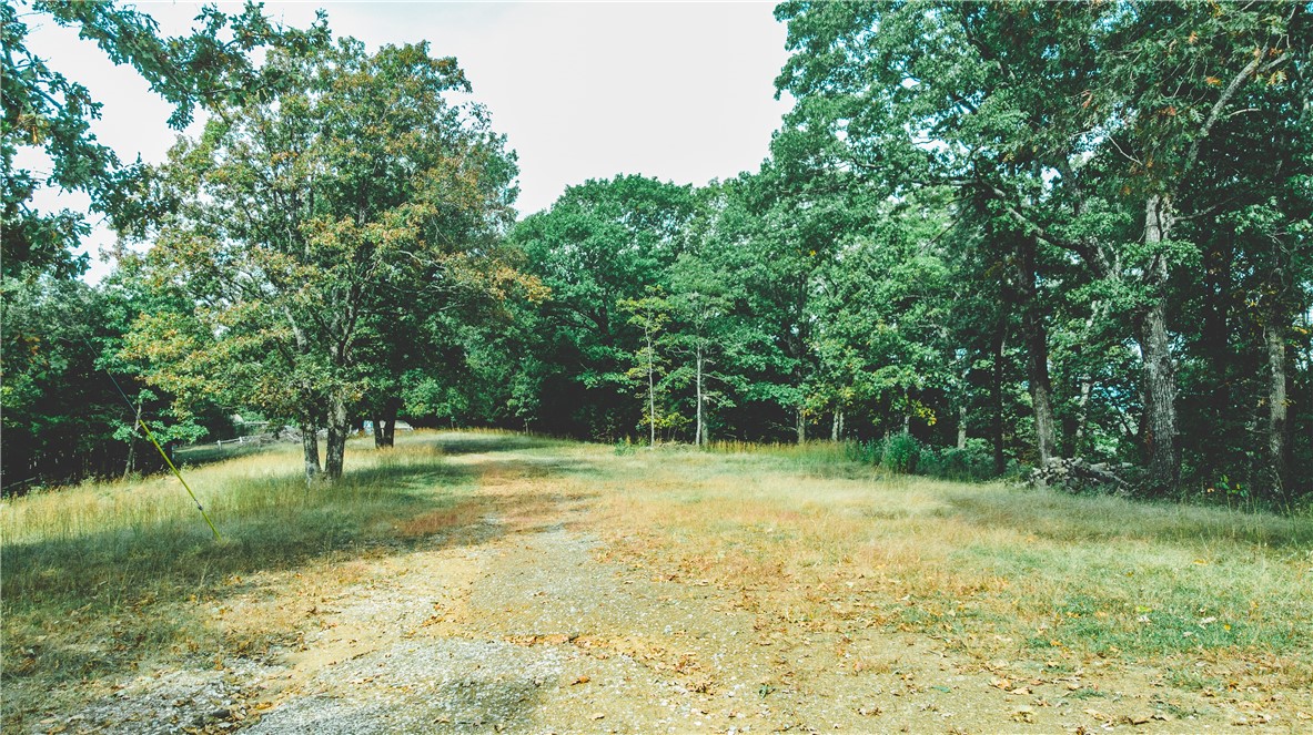10+ acres with pond and beautiful views offer a great building site for your dream home OR park your RV while you enjoy nature-filled weekend retreats with no restrictions! Electricity on-site, public water tap on property, high-speed internet at the road. Approved septic plan available for up to 5 bed/4 bath home. There is also an older, existing septic tank on site that has not been tested or used recently.