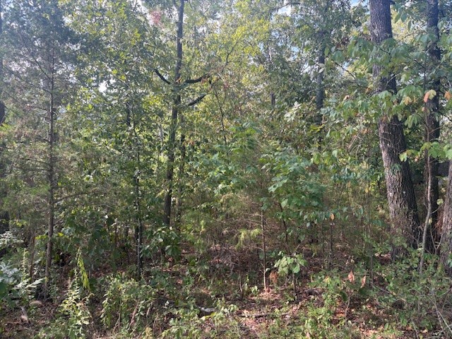 River View Acres - Land