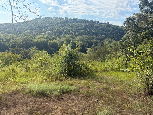 River View Acres - Land