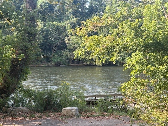 1.68-acre Norfork River lot. In town and outside a flood zone. Rare opportunity to own 1.65 acres overlooking beautiful Norfork River. Enjoy the river views and access without the worry or flooding. Prime location just inside city limits of Norfork. River access less than a mile away for fishing, kayaking or relaxing by the water. Build your dream home or getaway retreat. Whether you are looking for a private escape, a full-time residence, or an investment in one of Arkansasā most scenic river towns, this property has it all.