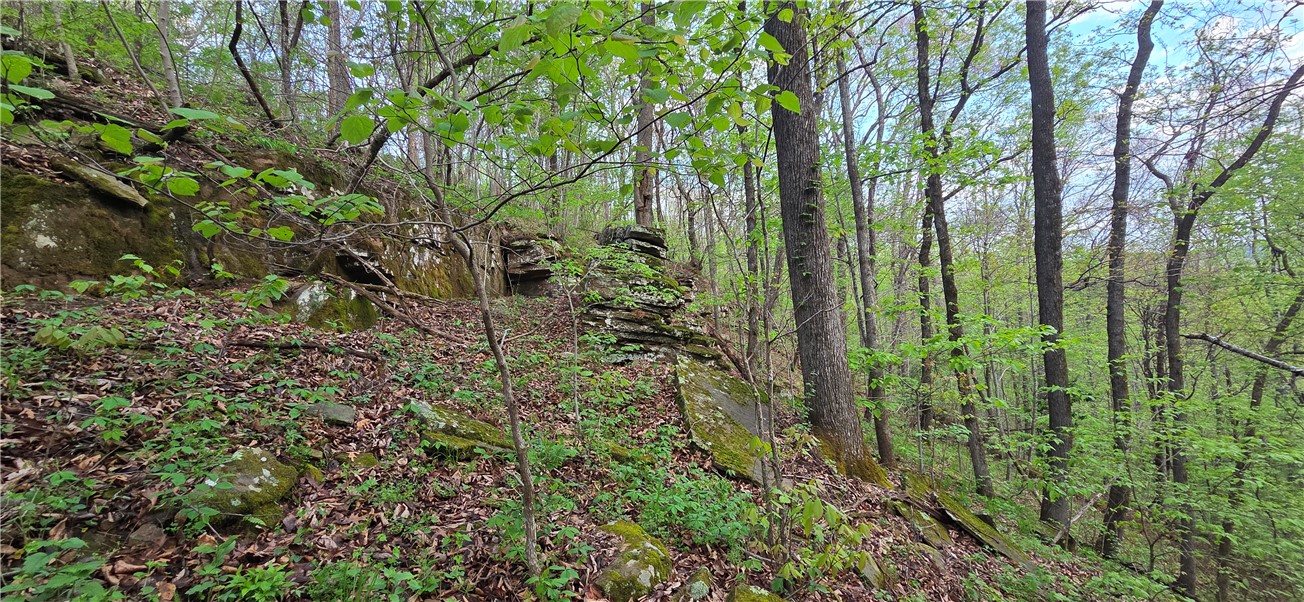 Boston Mountain Estates - Residential