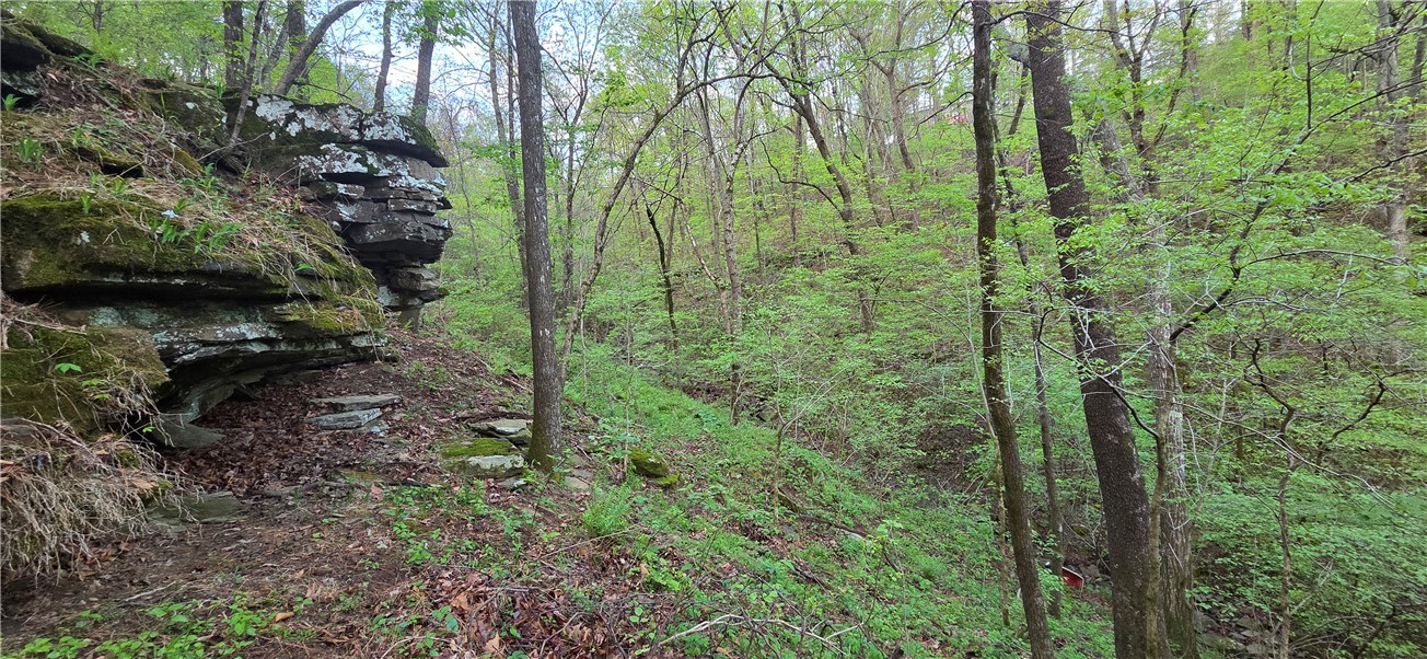 Boston Mountain Estates - Residential