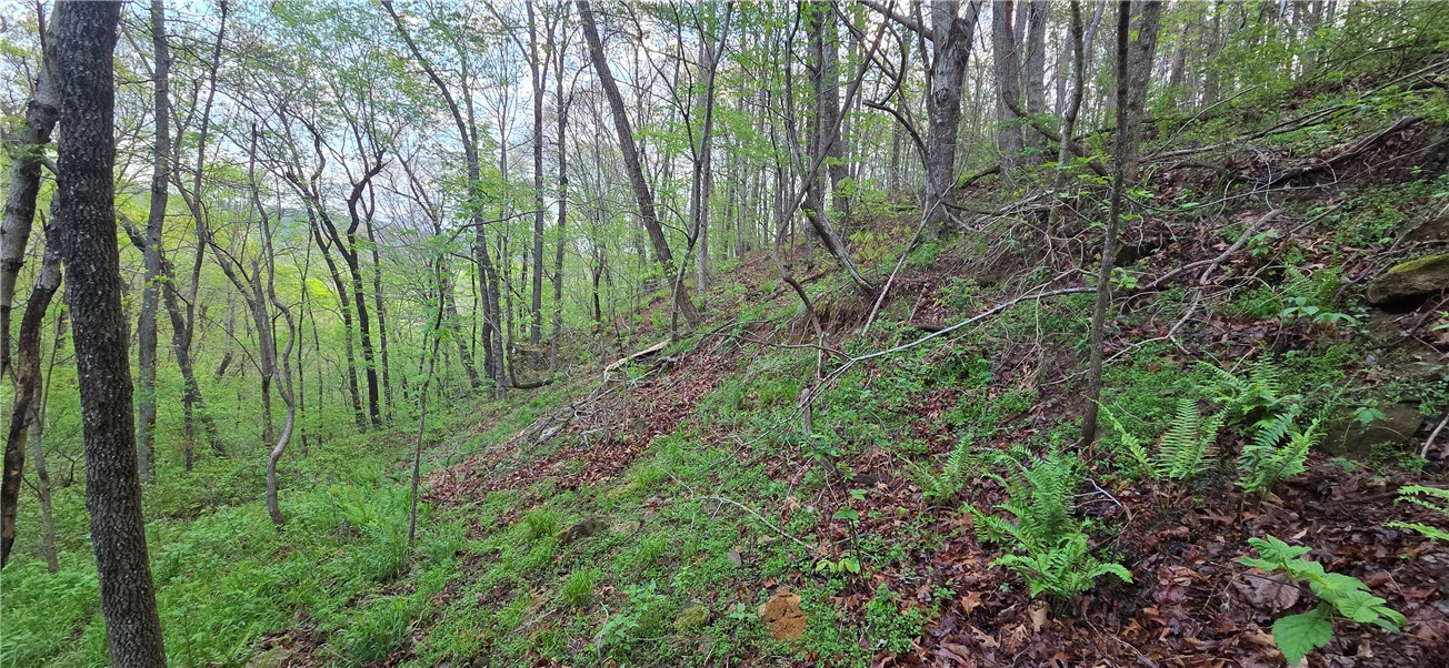 Boston Mountain Estates - Residential