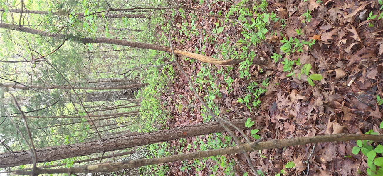 Boston Mountain Estates - Residential