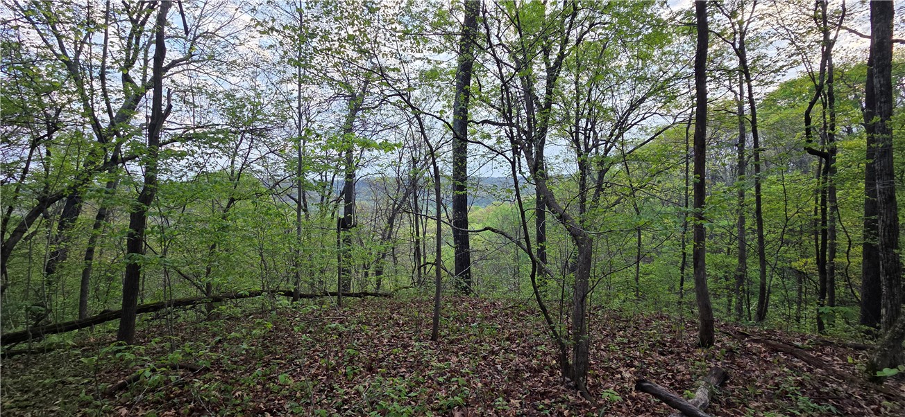 Boston Mountain Estates - Residential