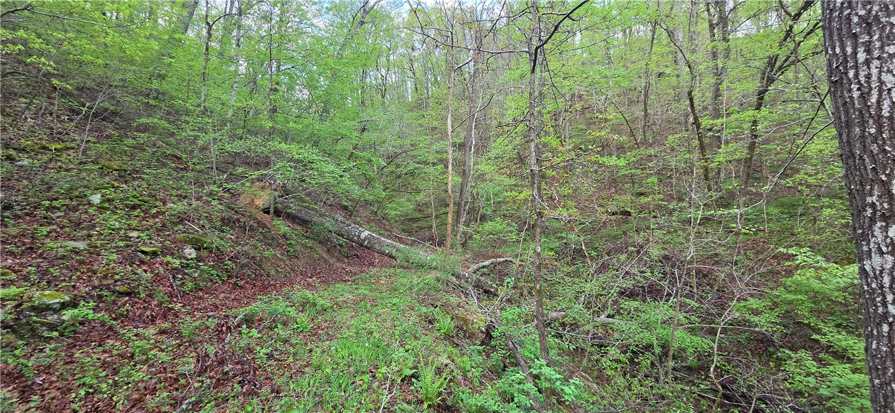 Boston Mountain Estates - Residential