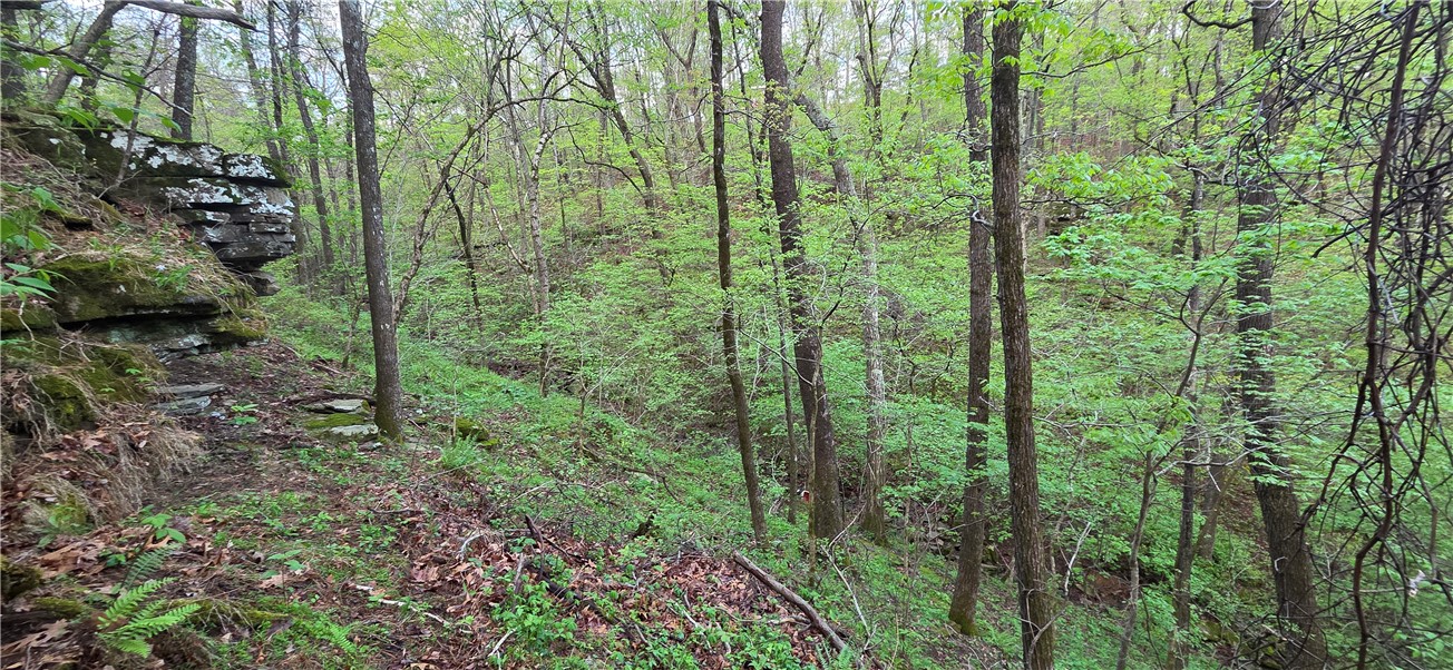 Boston Mountain Estates - Residential