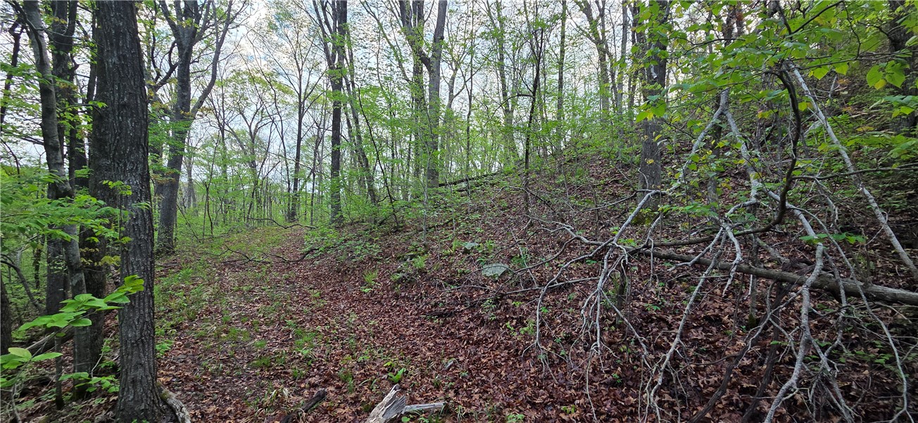 Boston Mountain Estates - Residential