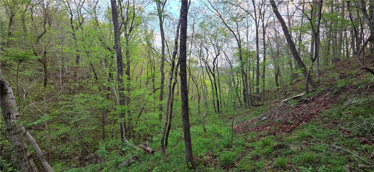 Boston Mountain Estates - Residential