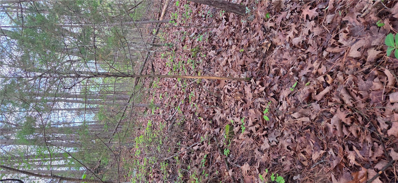 Boston Mountain Estates - Residential