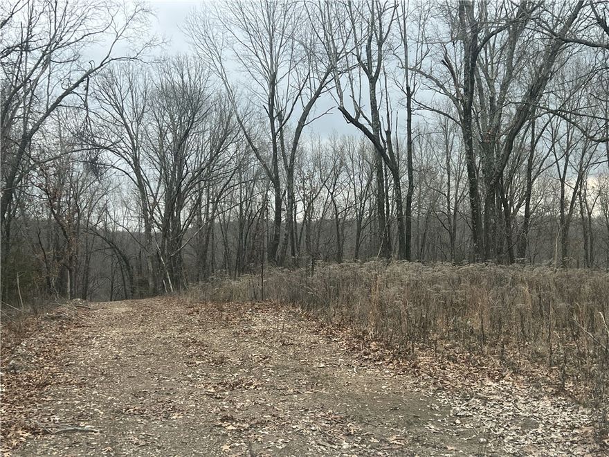 Nice views from this 315.79 Acres with a nice level building site just off the paved road.  The property has roads around on it and features a year round spring and pond.  Great hunting.