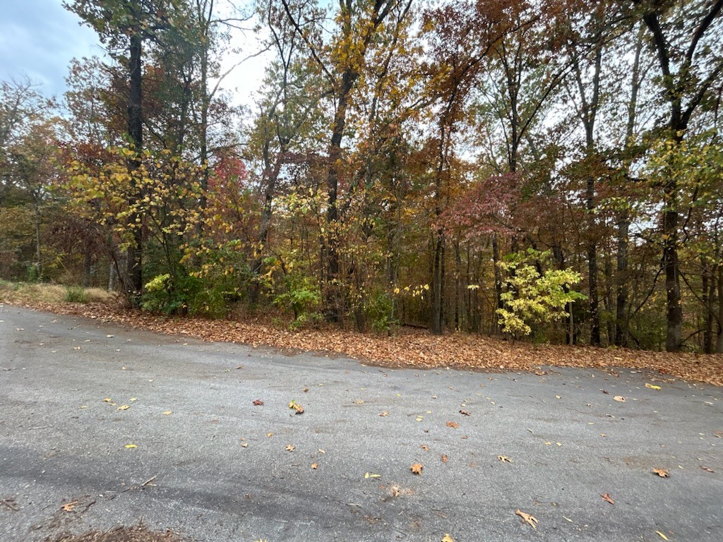 Pie shaped lot near "Tunnel Vision" and "Tanyard Creek" trails. Close to Lake Avalon AND Lake Windsor, buildable area at cul-de-sac, houses on either side, making access to utilities easy.