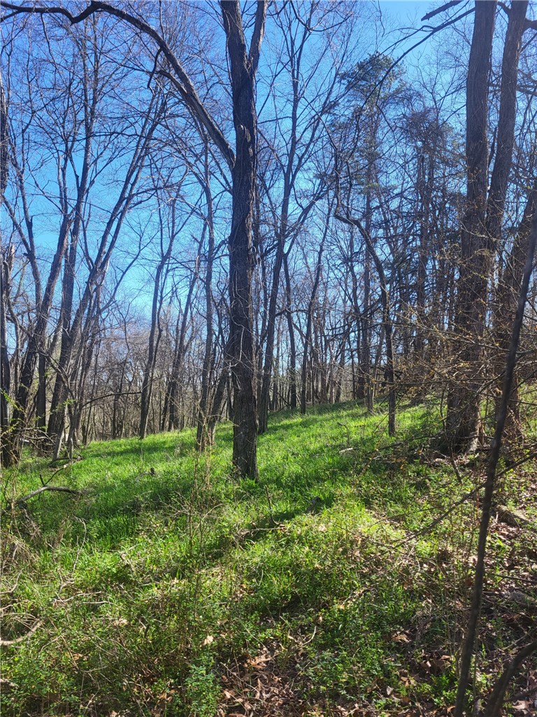 Clayton survey - Land