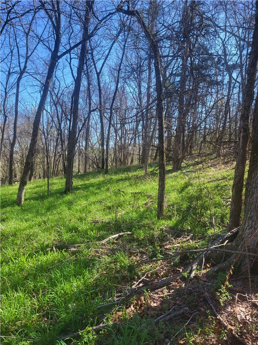 Welcome to Eureka Springs! imagine owning your very own property inside the city limits, within walking distance to Harmon Park and Downtown Eureka! These 3 lots are being sold as a unique investment opportunity and back up to Clear springs school. Come and build your vision at an affordable price inside the city limits. City Utilities are located nearby so no need for expensive wells or septic. These lots are also being offered with MLS listing #1340027 as an additional parcel. 
Here's your opportunity to own land and create your next chapter right here in one of the most sought after destinations of Northwest Arkansas.