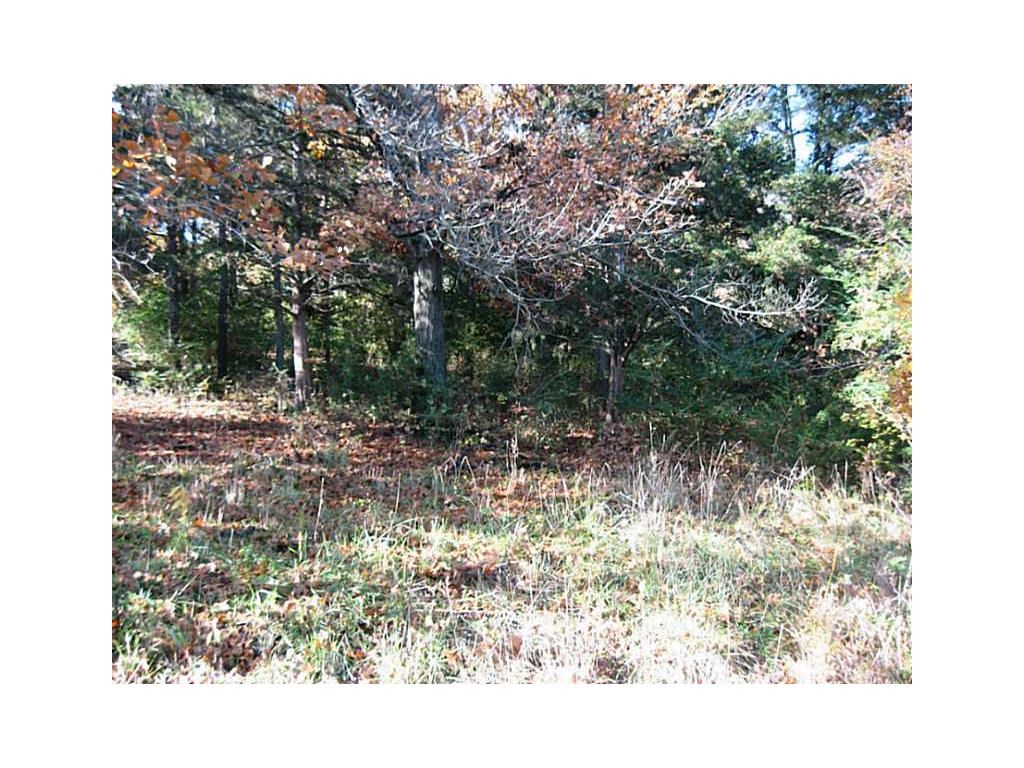 Beautiful Beaver Lake, lakeview, wooded home site, public water, electric, cable at street, dead end