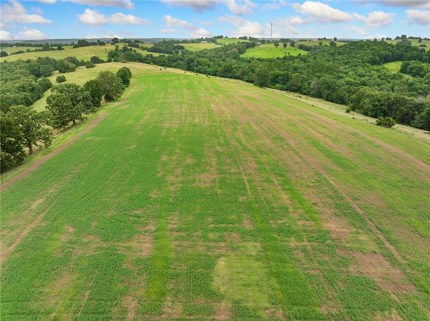 Great location on this 360 acres m/l Arkansas' Ozark Farm waiting for you to customize to your liking. Approximately 160 acres in pasture and the balance wooded. Older dairy barn, hay/equipment barn, shed, fenced and crossed fenced, corral, ponds, springs, small creek, wildlife and VIEWS! Circa 1970 ranch home with basement has deferred maintenance and will need updating, but has good bones. In the heart of the Ozarks within an hour or less of Table Rock, Taneycomo, Bull Shoals, and Norfork Lakes, the White and Buffalo Rivers, and many fishing, camping, hiking, hunting and sightseeing venues. Within minutes of Crooked and Clear Creeks. Approximately an hour to Branson, Mo and slightly over to Eureka Springs, AR. A great place to live, ranch, hunt, and enjoy the life the Ozarks has to offer. More land could be opened up for cattle, or leave it as it is for seclusion and hunting. Large acreages like these are hard to find, so be sure to check it out if the country is beckoning you home.