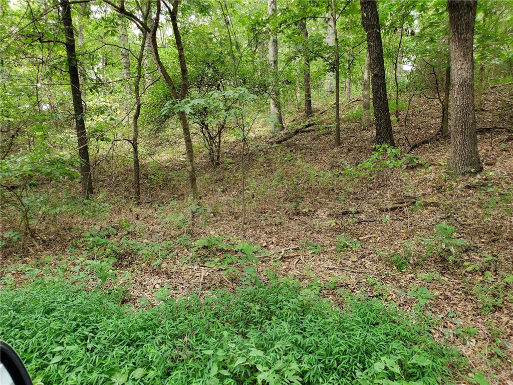 Lake Forrest Heights Sub Rev Rurban - Land