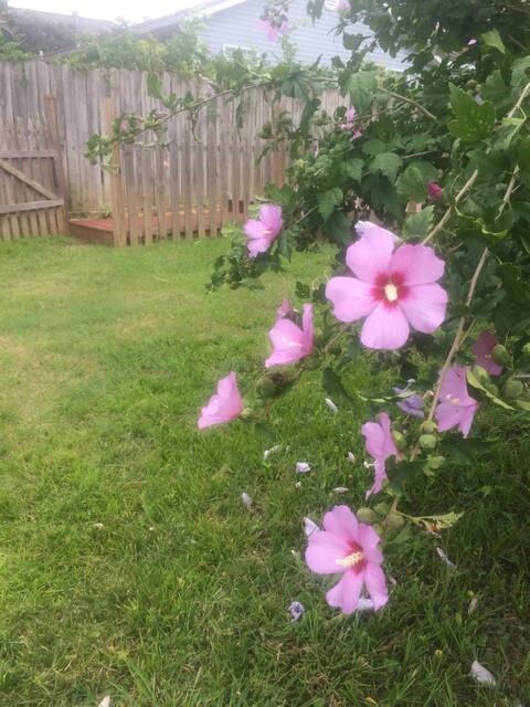 Dickson Add - Residential