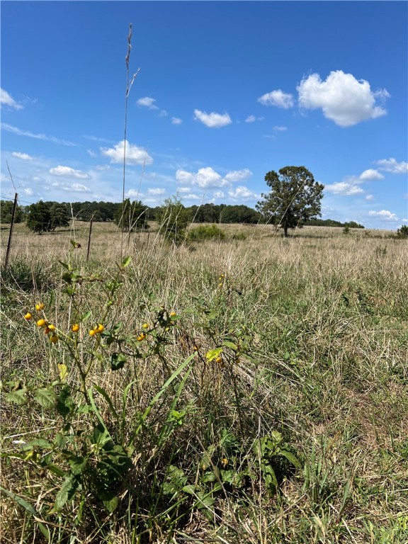 07-20-24 - Land