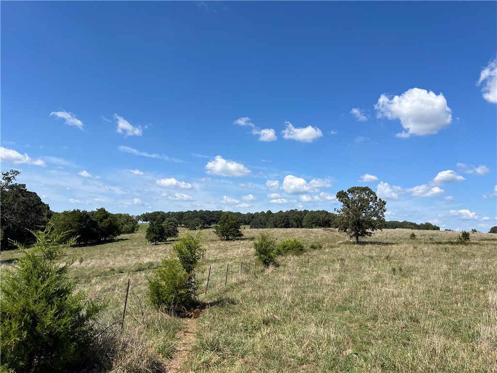 07-20-24 - Land
