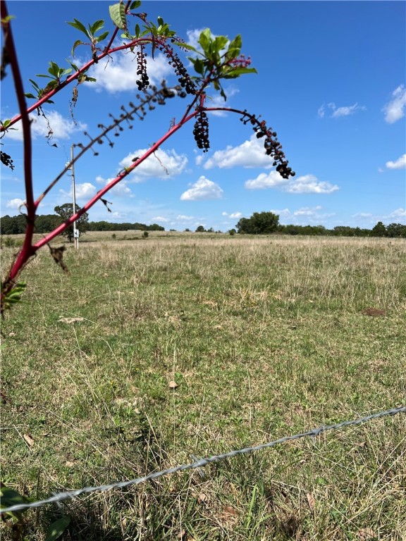 07-20-24 - Land