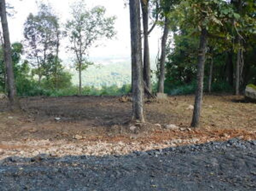 Lot 95 is a 1.7 acre parcel in the Round Mountain Estates, situated on more than 4,000 acres in one of the highest point of Boone County Arkansas. Awesome views overlooking the valley. Nightly rentals are allowed in this community! At Round Mountain Estates at Iron Bluffs, all lots are designed to embrace the Ozarks' natural terrain and vistas. Whether you're seeking a second home, an investment opportunity, or a full-time residence, Round Mountain Estates will accommodate custom homes from 2,500 square feet up. All Iron Bluffs property purchases include a multi-generational membership and a memory making membership for future generations.