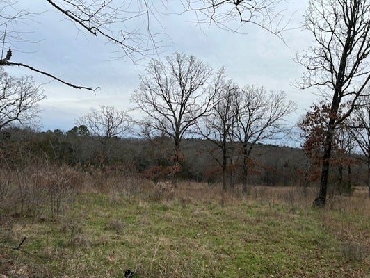 1295 MAPLE SPRINGS RD, RUSSELLVILLE, AR 72802 - Image 58daec8c29cc65fa8b4535778d1d8043/4246769295