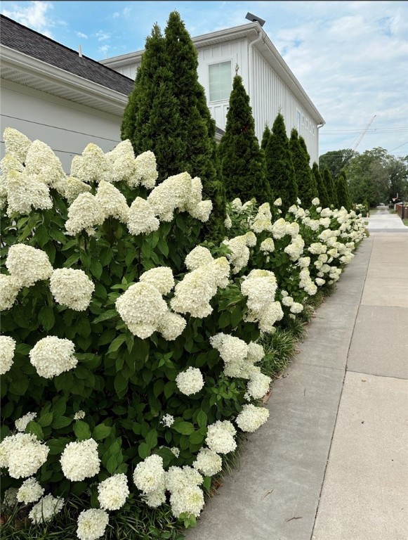 Lincoln & Rice Add Bentonville - Residential