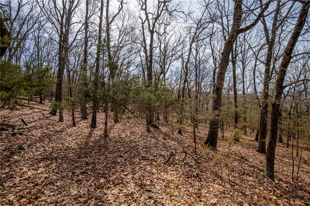 Fayetteville Outlots - Land