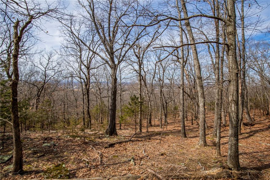 Looking for a beautiful wooded spot to build your dream home but still wanting to be close to everything Fayetteville has to offer? This is it! Enjoy the sunsets from your back patio with an expansive view of the Ozarks. A portion of the property even borders Centennial Park! There is a well on the property plus two small ponds that could be kept or filled in. City has approved water as an existing line has already been brought to the property and there has been a perk test completed. This is a great opportunity to own a large, private parcel of land in the middle of a growing, desirable town. It's within a few miles of the University of Arkansas and even closer to I-49; yet a paved country road takes you away from the highways up to a quiet location with a view. The perfect spot to build a home with the convenience and accessibility to quickly get wherever you need to be in Northwest Arkansas!
