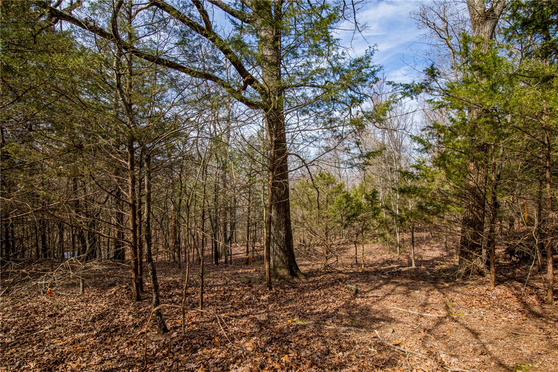Fayetteville Outlots - Land