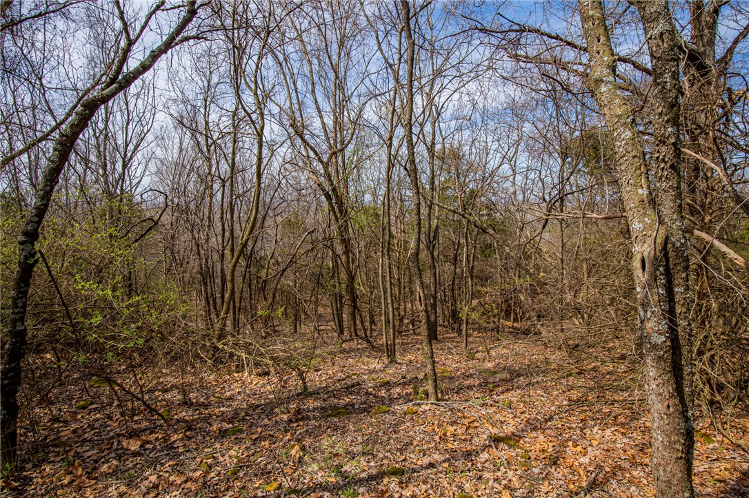 Fayetteville Outlots - Land