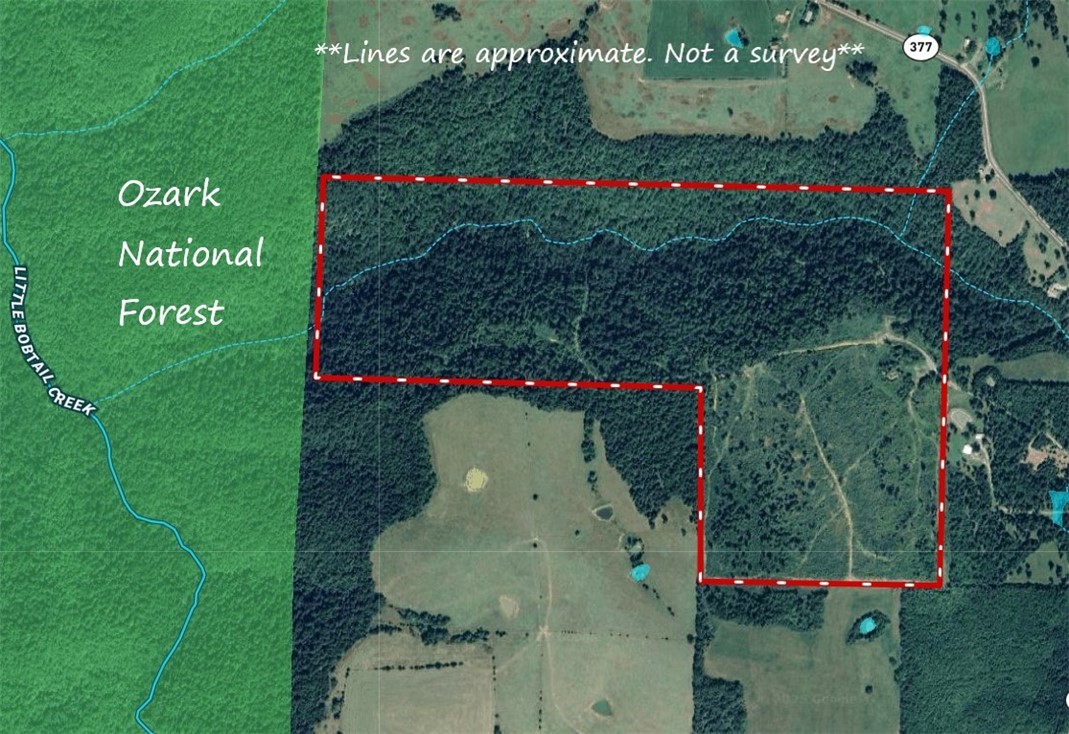 166 acres of prime hunting adjoining Ozark National Forest! Electric on site & public water is on the entry road, making this a perfect spot to build your weekend getaway or hunting cabin. Pull just through the private gate to a flat clearing that would be a perfect spot to build, or drive a little up the hill to build with amazing views. A spring fed creek runs through the entire northern section of the property & is surrounded by over 100 acres of mature timber & beautiful rock bluffs. The steep terrain along the creek, paired with the roughly 60 acres of cut timber with thick, new growth is a perfect recipe for holding lots of wildlife. Don't forget the direct access to thousands of acres of National Forest ground on the western property line. Just a quarter mile off the highway, the access can't get much easier to a property loaded with big deer, bear & turkey. Great trail system & newer perimeter fencing on a large portion. Buffalo River & Little Red River are both just a short drive away for floating/fishing!